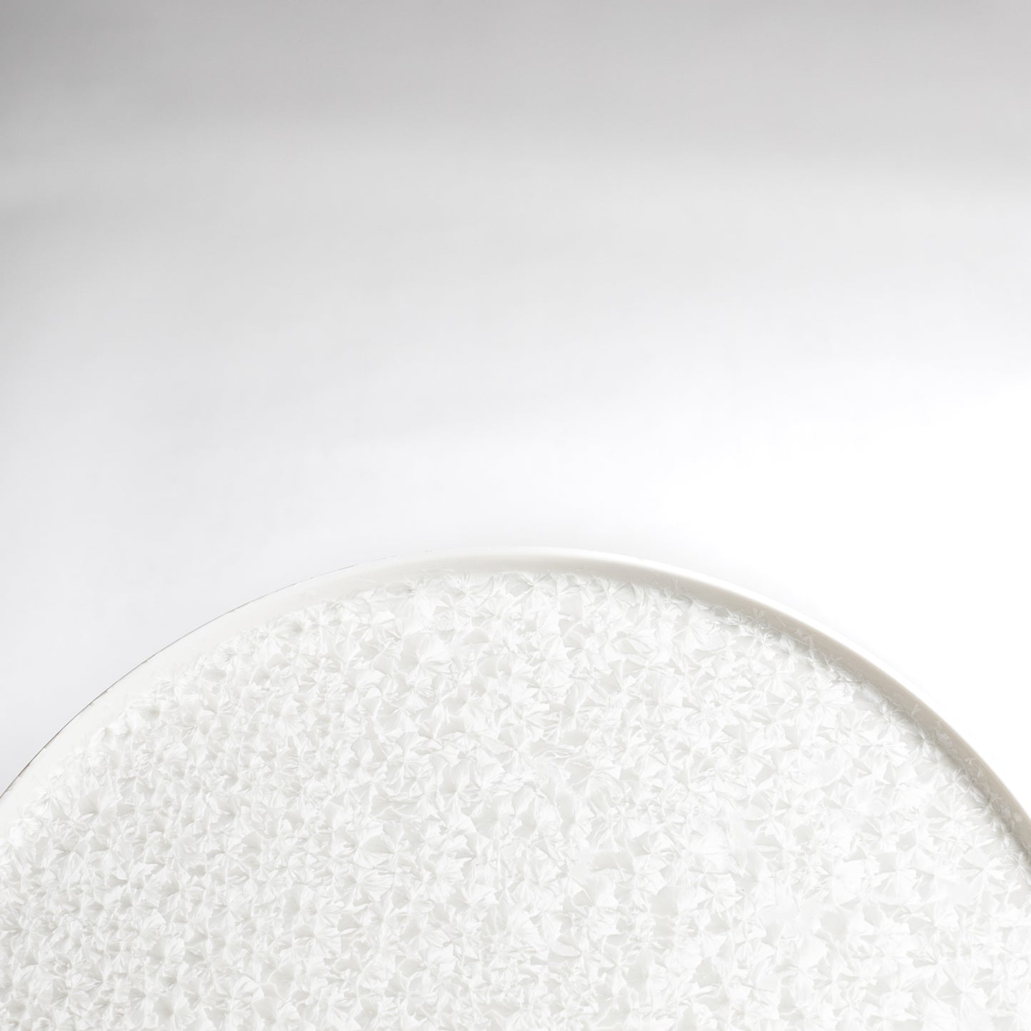 Close up view of the plate. Elegant design will give sophisticated feel to your table.