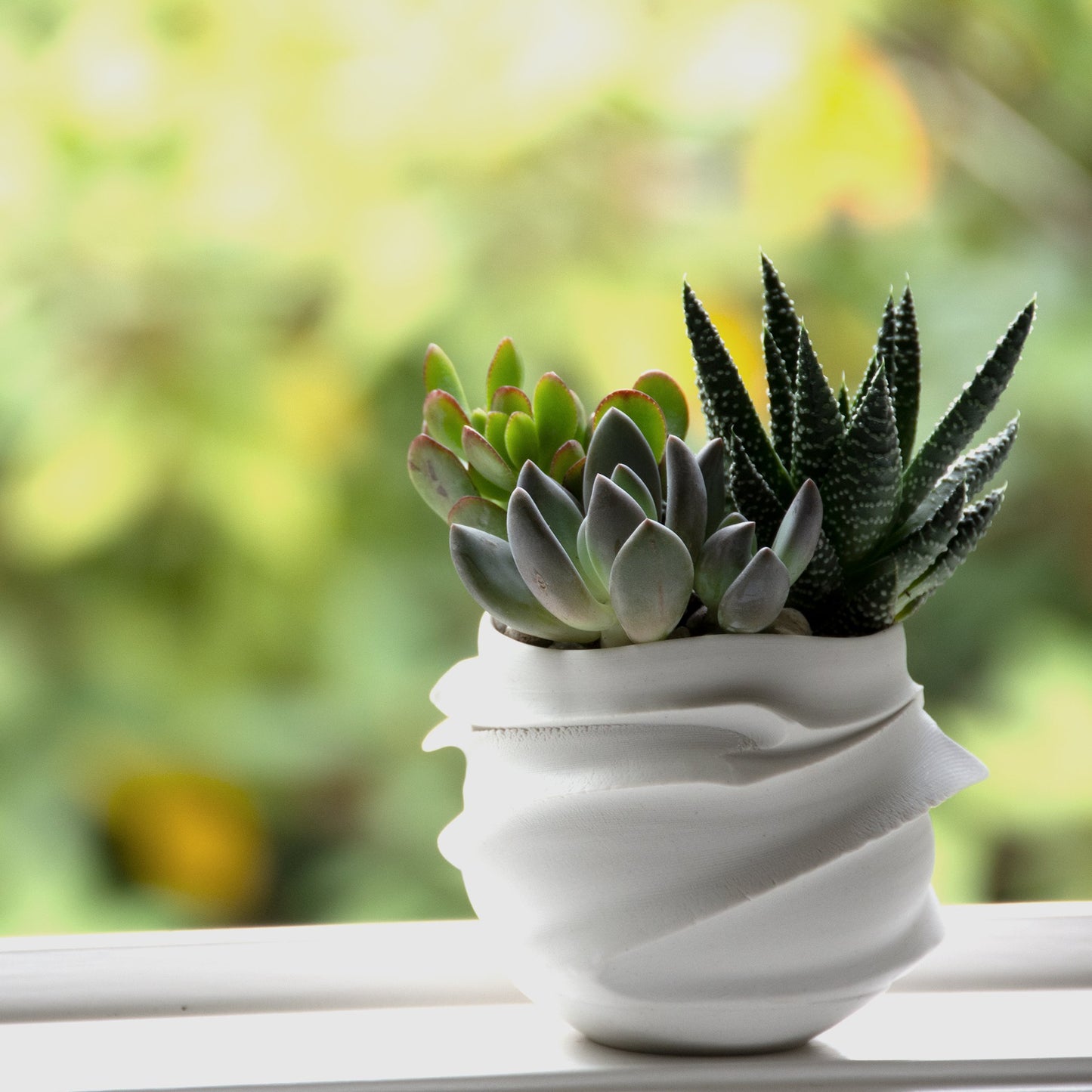 Hakuji Cachepot shown with succulents, highlighting its natural form and glossy white ceramic finish.