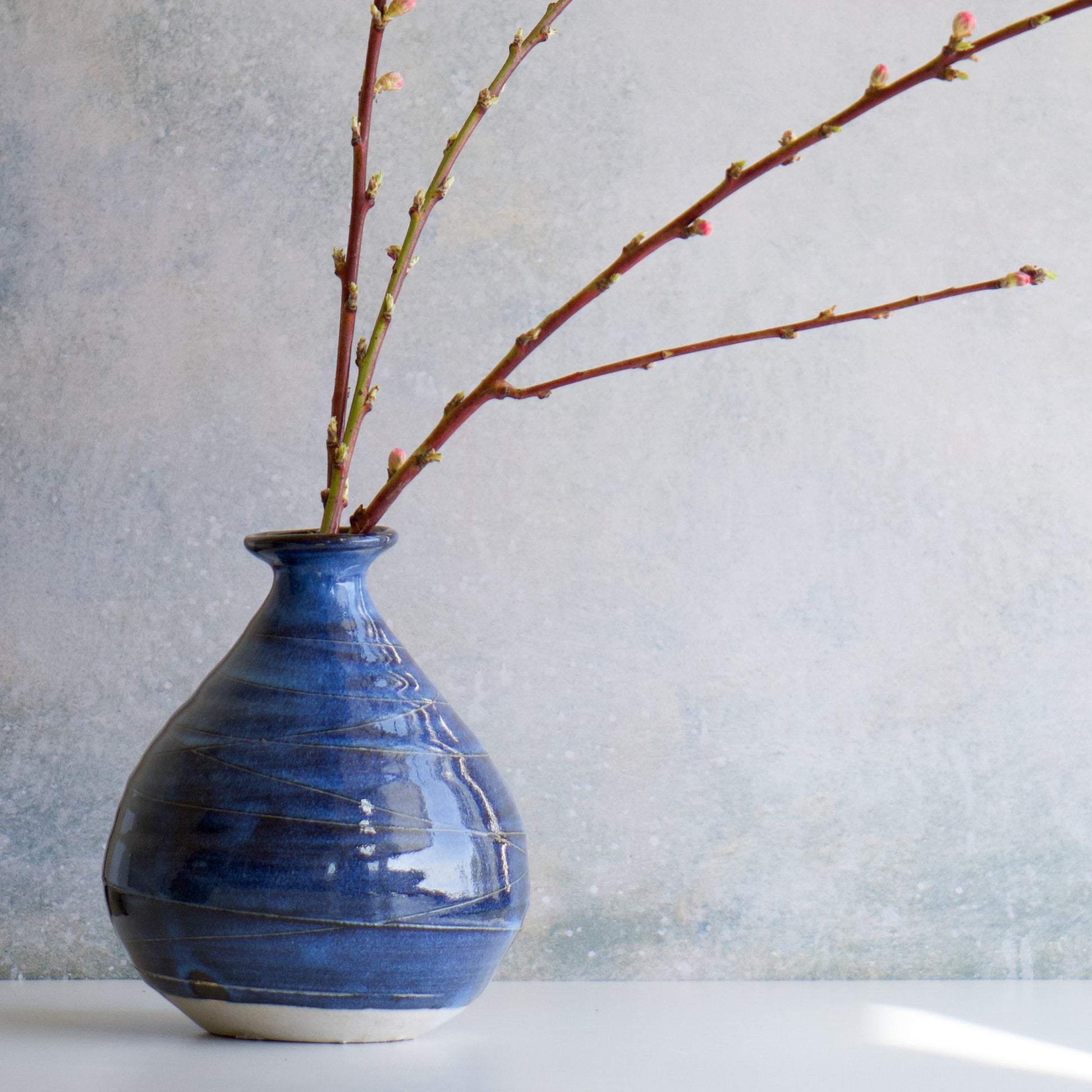 Blue ceramic vase with a branch on a light gray background