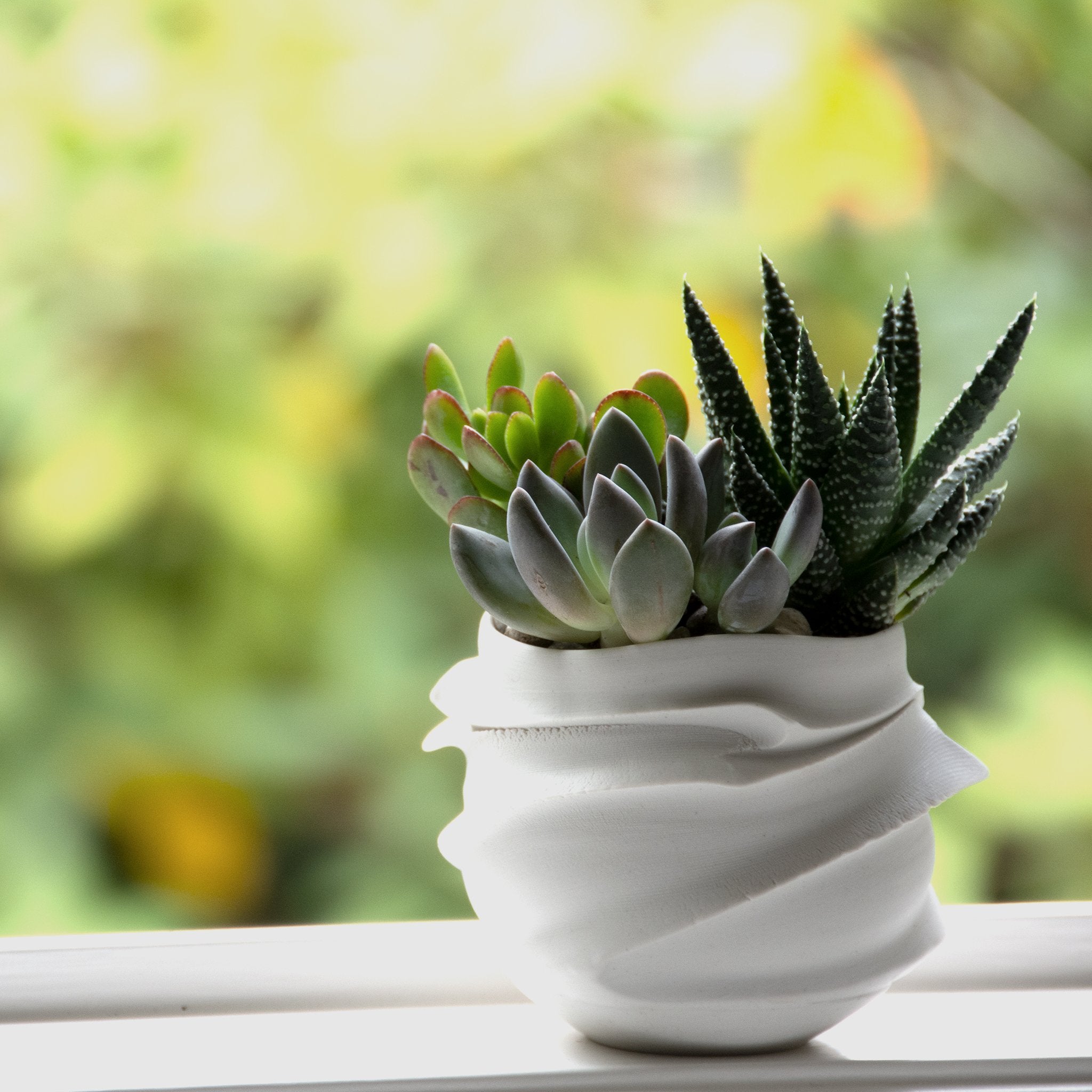 Hakuji Cachepot shown with succulents, highlighting its natural form and glossy white ceramic finish.