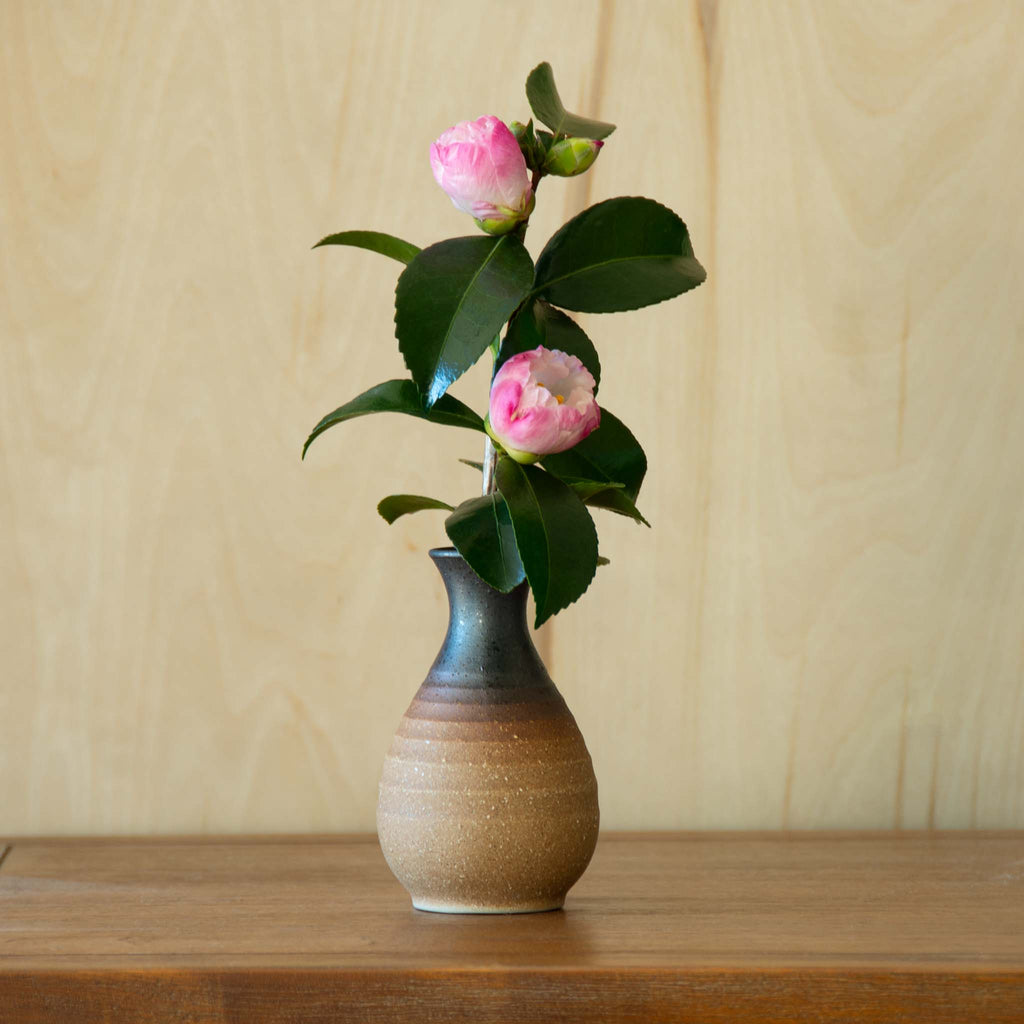 Dark brown glaze diffusing to clay colored sake container used as vase with green foliage combined with camelia
